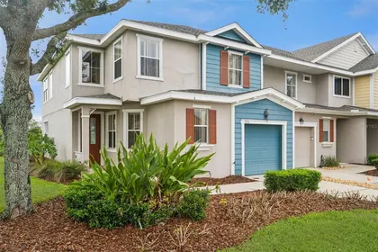 MOUNT DORA FL Home