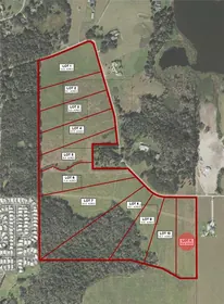 DADE CITY FL Property