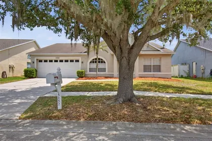 WESLEY CHAPEL FL Home