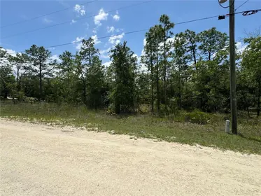 WEEKI WACHEE FL Property