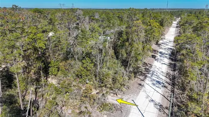 DUNNELLON FL Property
