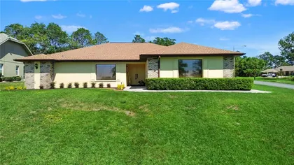 WEEKI WACHEE FL Home