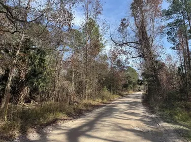 CITRA FL Property