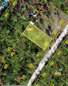 PUNTA GORDA FL Property