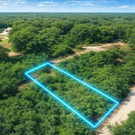 DADE CITY FL Property