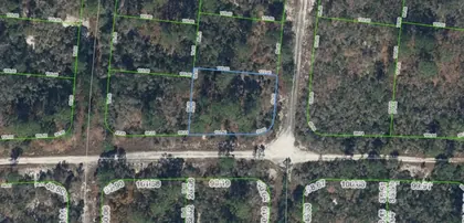 LAKE PLACID FL Property