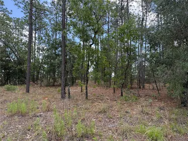 DUNNELLON FL Property