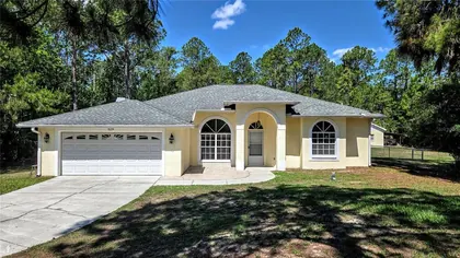WESLEY CHAPEL FL Home