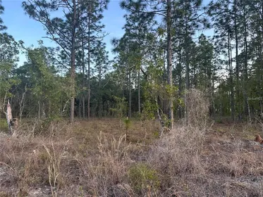 DUNNELLON FL Property