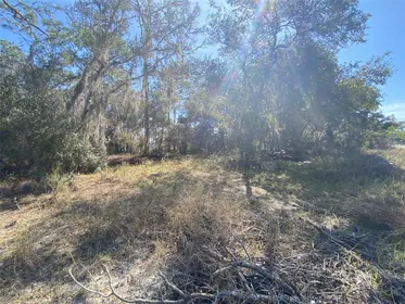 KISSIMMEE FL Property