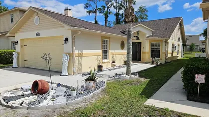 WESLEY CHAPEL FL Home