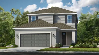 MOUNT DORA FL Home