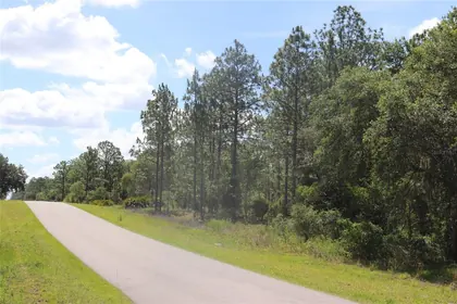 DUNNELLON FL Property