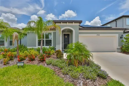 VALRICO FL Home