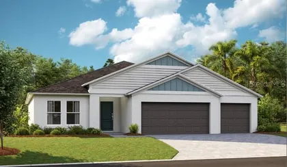 WESLEY CHAPEL FL Home