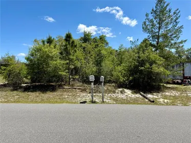 EUSTIS FL Property