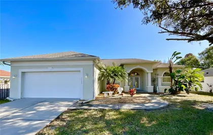 LUTZ FL Home