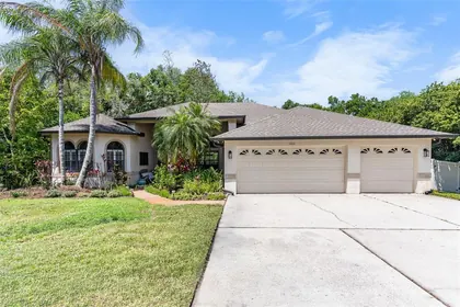 LUTZ FL Home