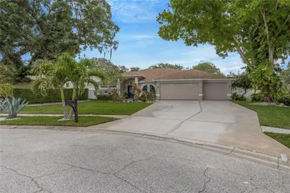 TARPON SPRINGS FL Home