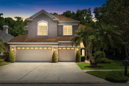 TAMPA FL Home
