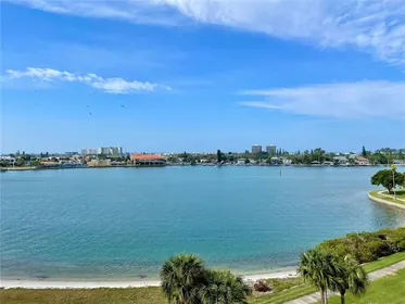 SOUTH PASADENA FL Home