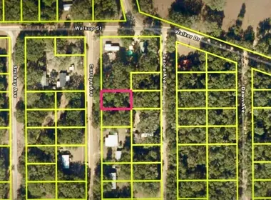 INTERLACHEN FL Property