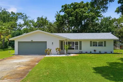 DUNEDIN FL Home