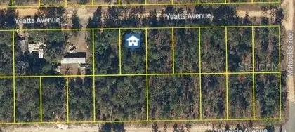 INTERLACHEN FL Property