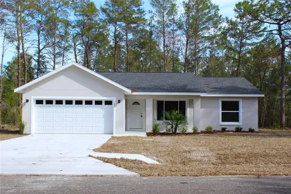 OCKLAWAHA FL Home