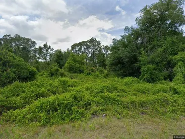 LAKE PLACID FL Property