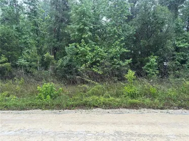 OCALA FL Property