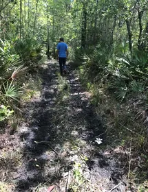 DELTONA FL Property