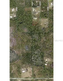 FORT MC COY FL Property
