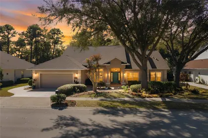MOUNT DORA FL Home