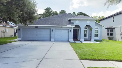 WESLEY CHAPEL FL Home