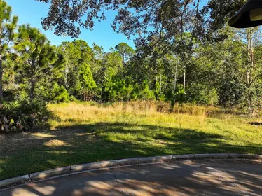 ST CLOUD FL Property