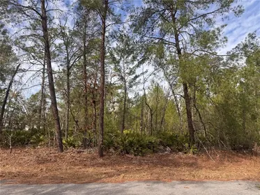 OCKLAWAHA FL Property