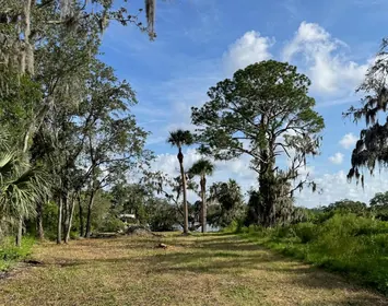 NEW PORT RICHEY FL Property