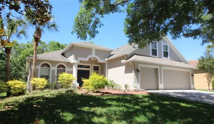 LITHIA FL Home
