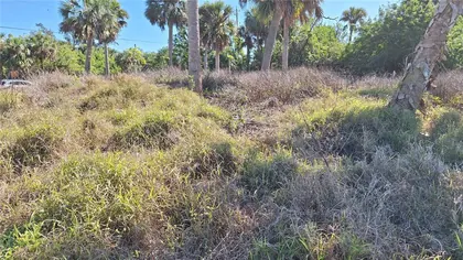 PORT CHARLOTTE FL Property