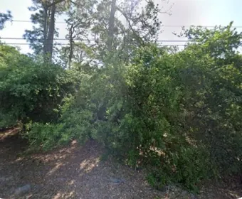 NORTH PORT FL Property