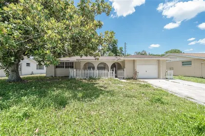 NEW PORT RICHEY FL Home