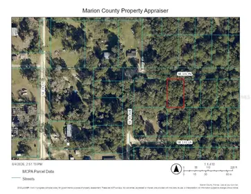 BELLEVIEW FL Property